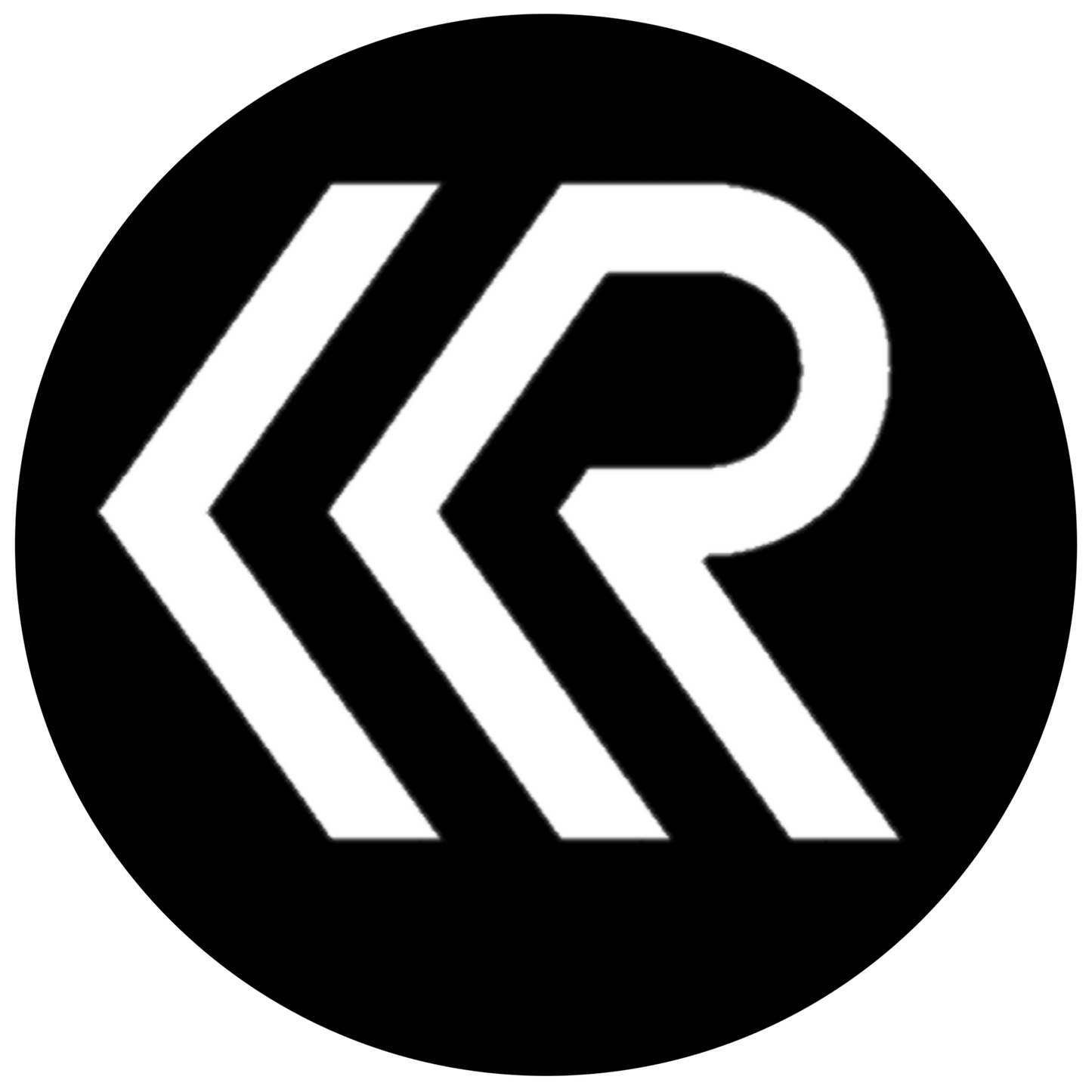 2de kans Waterblazer - Hondenfohn - Robustrise - 3800W - Robustrise.nl