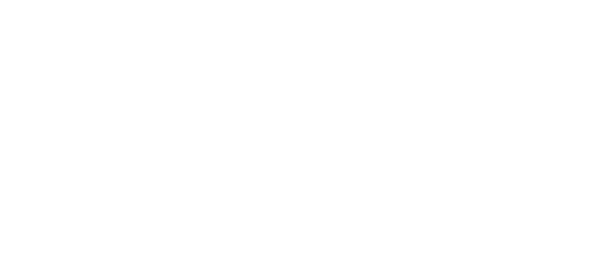 Robustrise.nl