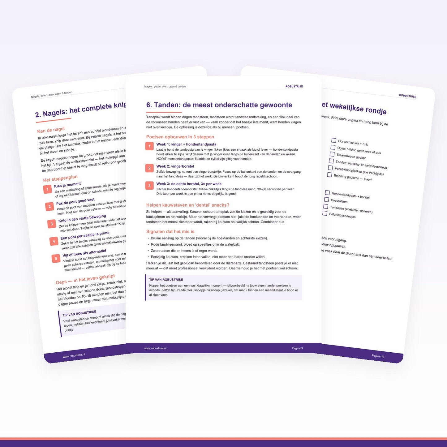 E-book: Nagels, poten, oren, ogen & tanden — De kleine verzorging (PDF) - Robustrise.nl