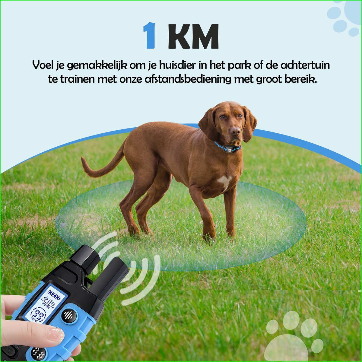 Robustrise X2 Pro Anti Blafband - Hondentrainer - Robustrise.nl