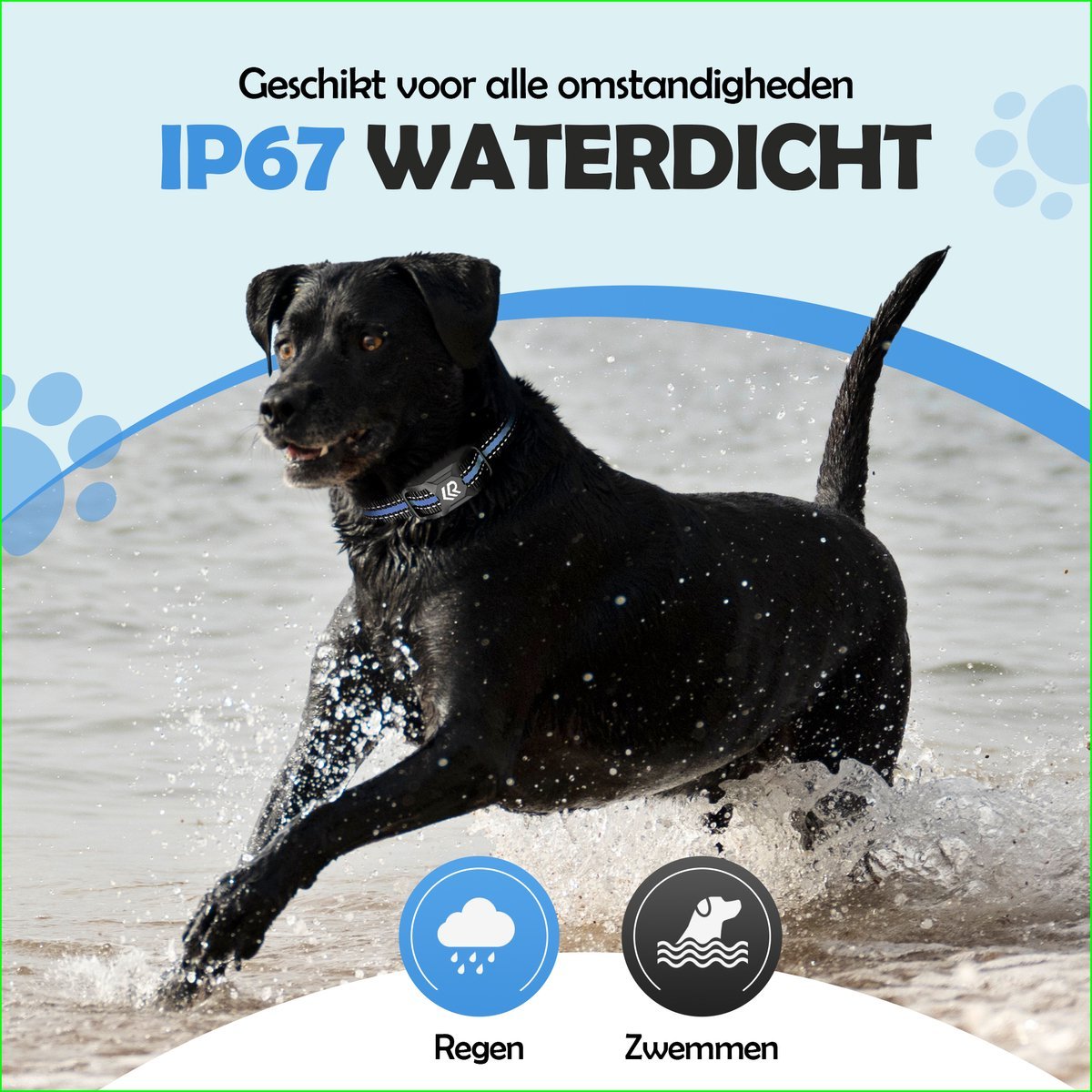 Robustrise X2 Pro Anti Blafband - Hondentrainer - Robustrise.nl