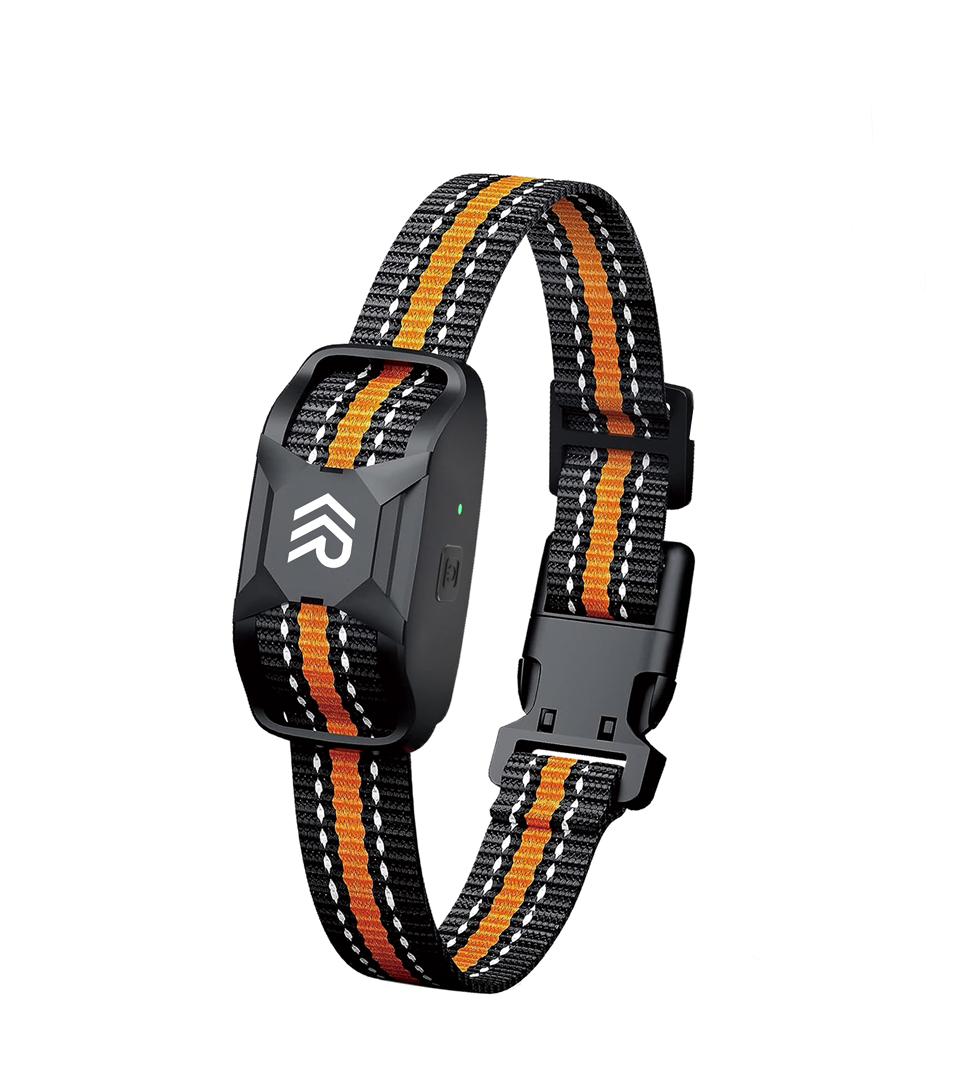 Robustrise X2 Pro ontvanger - Robustrise.nl