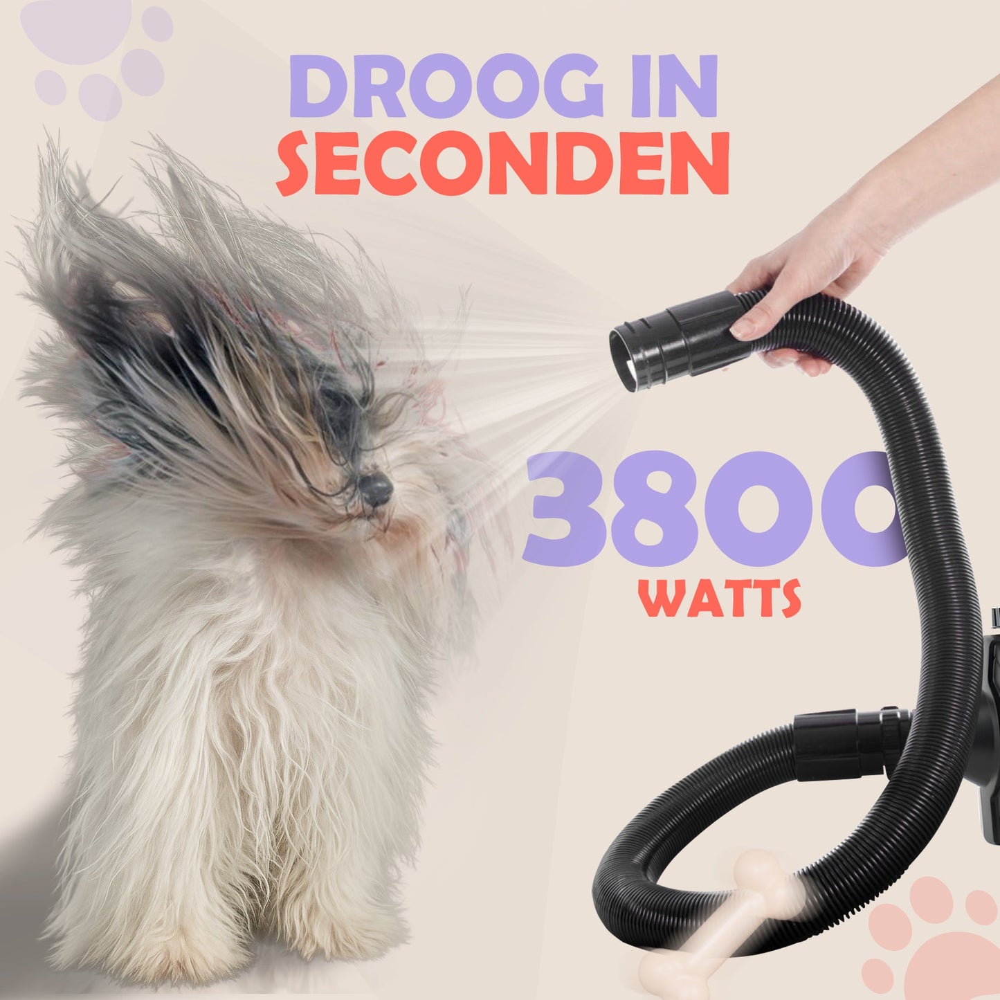 Waterblazer Hond droog in seconden – 3800W hondenfohn voor snelle droging | Robustrise