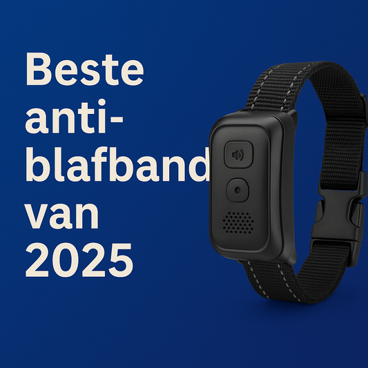 Beste Anti-Blafband van 2025: Wat Werkt Echt tegen Overmatig Blaffen?