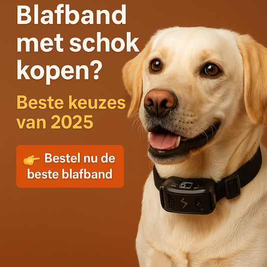 Anti blafband met schok