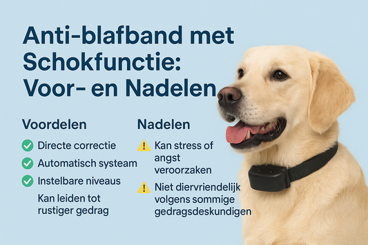 Anti-blafband met Schokfunctie