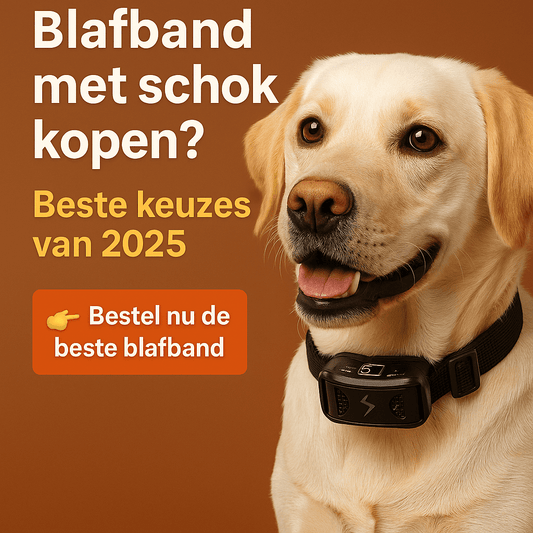 Anti Blafband met schok kopen? Beste keuzes van 2026 - Robustrise.nl