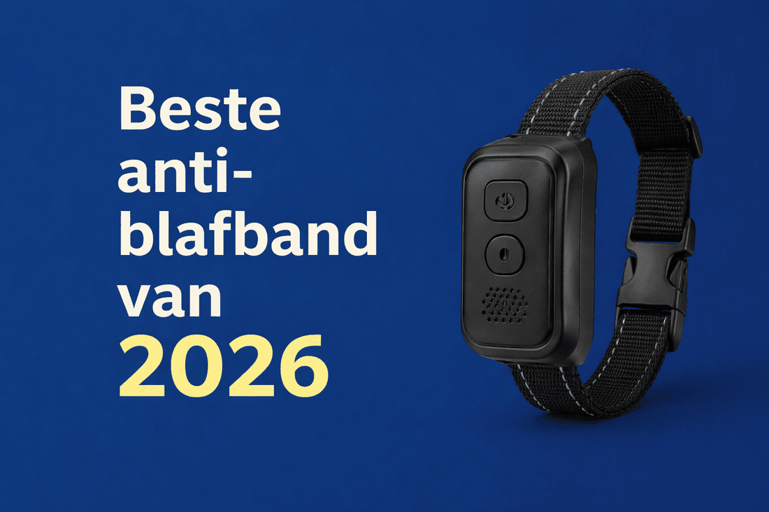Beste Anti-Blafband van 2026: Wat Werkt Echt tegen Overmatig Blaffen? - Robustrise.nl