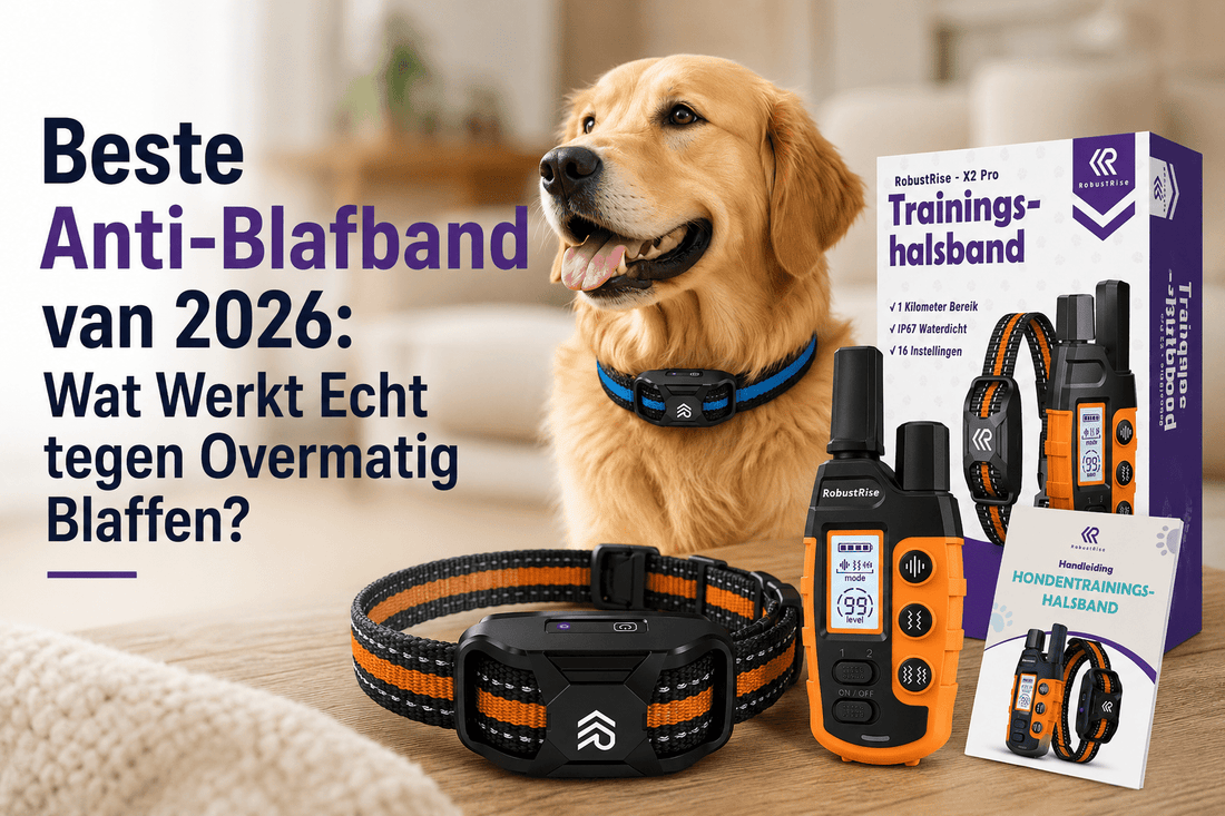 Beste Anti-Blafband van 2026: Wat Werkt Echt tegen Overmatig Blaffen? - Robustrise.nl