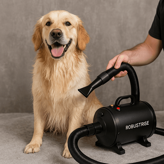 Beste Waterblazer 2025: Onze Top 5 Keuzes voor Honden - Robustrise.nl