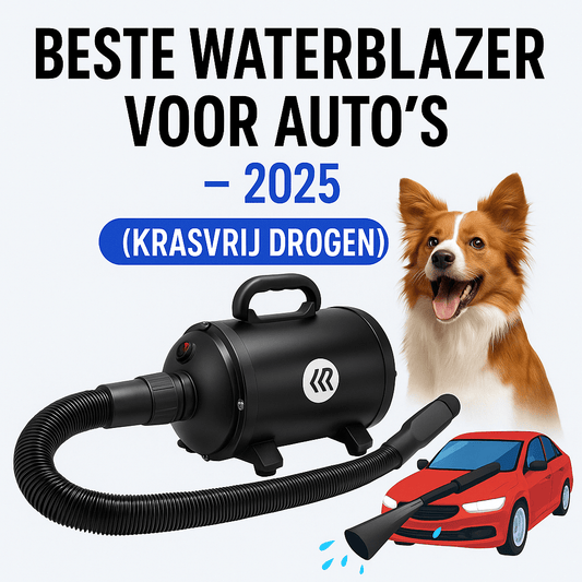 Beste waterblazer voor auto’s 2026 - Robustrise.nl