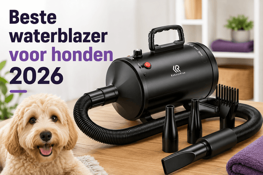 Beste Waterblazer voor Honden 2026 - Robustrise.nl