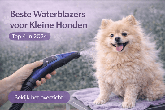 Beste waterblazers voor kleine honden - Robustrise.nl