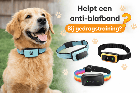 Helpt een anti-blafband echt bij gedragstraining? 🐶 De feiten op een rij - Robustrise.nl