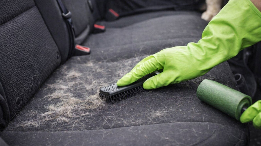 Hand in een groene rubberen handschoen borstelt losse hondenharen van een stoffen achterbank, met een pluisroller ernaast