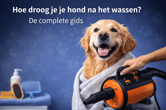 Hoe droog je je hond na het wassen? De complete gids - Robustrise.nl