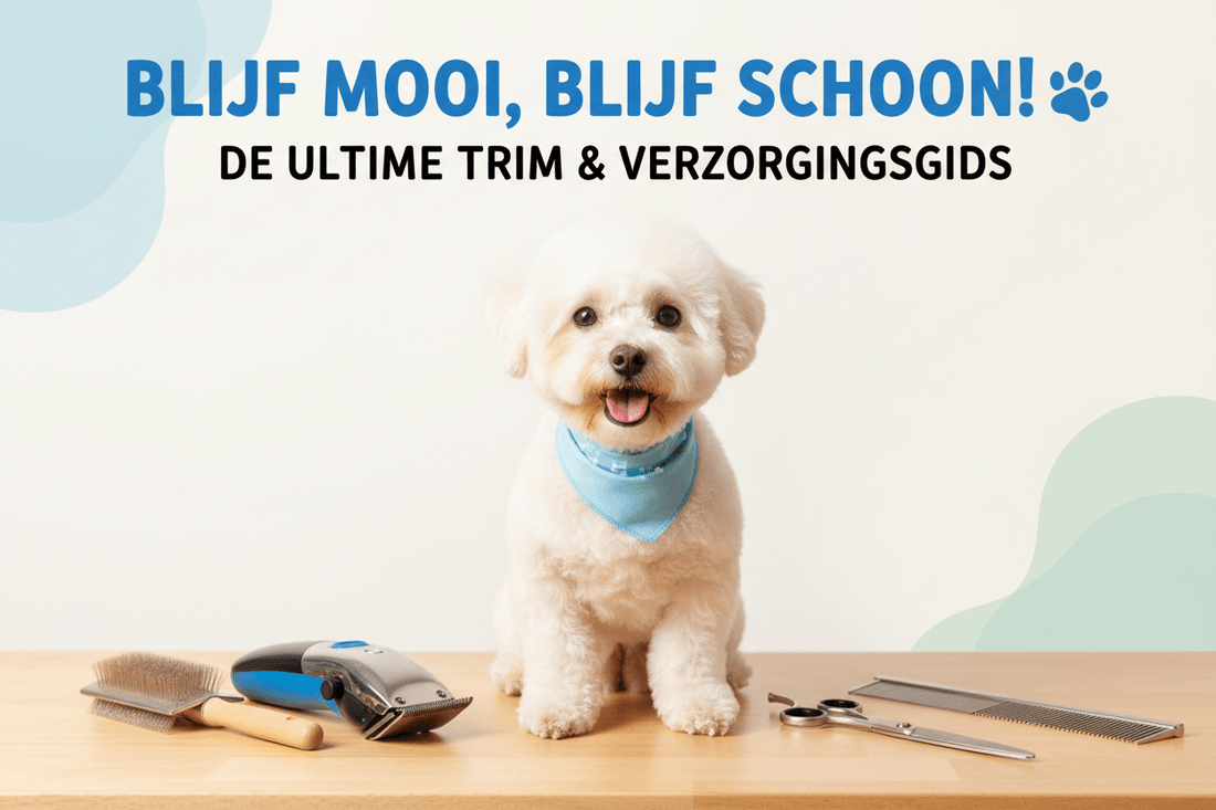 Hond Trimmen: Stap-voor-Stap Gids voor Beginners [2026] - Robustrise.nl