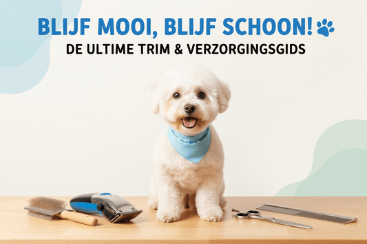 Hond Trimmen: Stap-voor-Stap Gids voor Beginners [2026] - Robustrise.nl