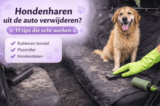Hondenharen uit de auto verwijderen? 11 tips die echt werken - Robustrise.nl