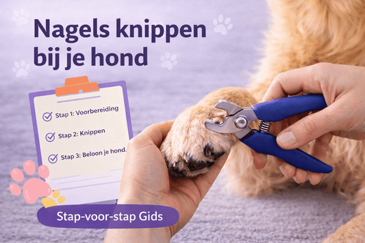 Nagels Knippen bij je Hond: Zo Doe Je Het Veilig en Stressvrij [2026] - Robustrise.nl