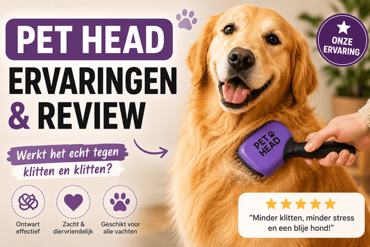 Pet Head shampoo ervaringen: eerlijke review (2026) - Robustrise.nl