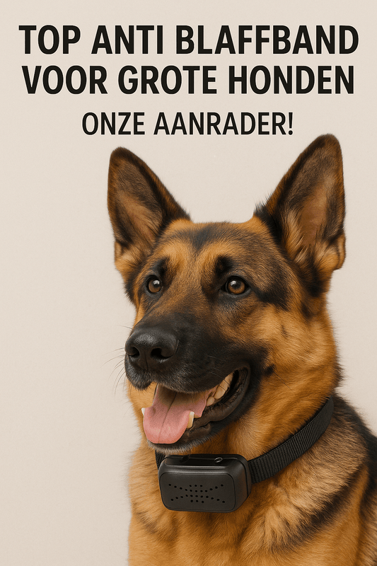 Top Anti Blafband voor Grote Honden – Onze Aanrader! - Robustrise.nl