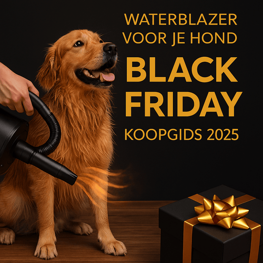 Waar let je op bij het kopen van een waterblazer voor je hond? - Robustrise.nl