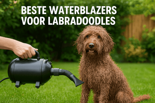 Welke waterblazer moet ik nu kiezen voor mijn Labradoodle? - Robustrise.nl