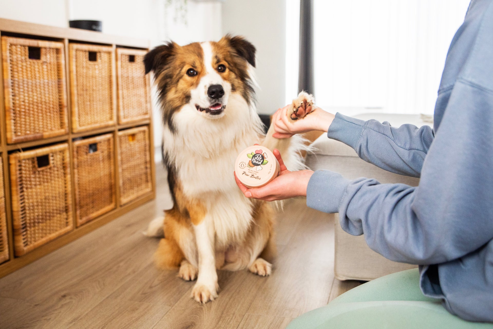 Pootverzorging voor honden - Robustrise.nl