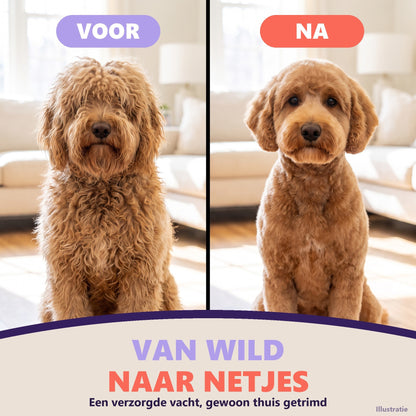 Illustratie: labradoodle met een lange krullenvacht (voor) en met een kortere, bijgewerkte vacht (na), geen klantresultaat
