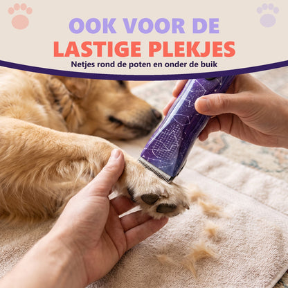 Voorpoot van een golden retriever wordt rond de voetzolen bijgewerkt met de paarse Robustrise Apex Ultra hondentondeuse
