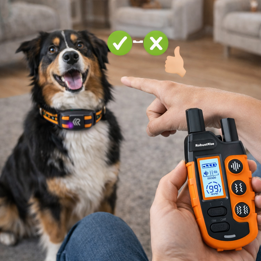 Hond blaft 's nachts