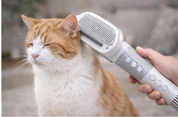 Geen natte hondengeur