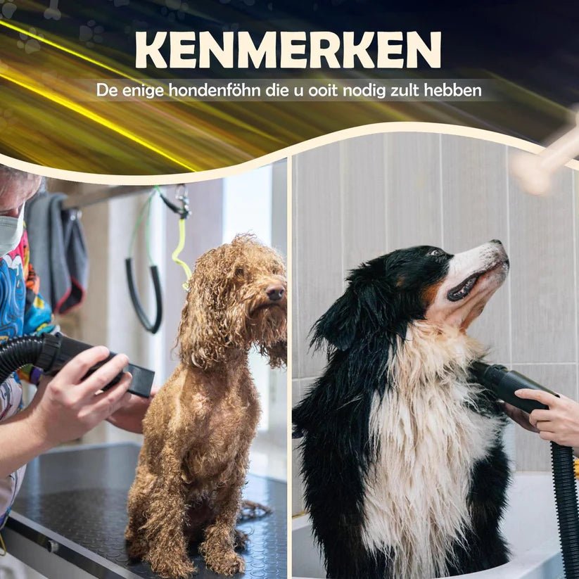 2de kans Waterblazer - Hondenfohn - Robustrise - 3800W - Robustrise.nl