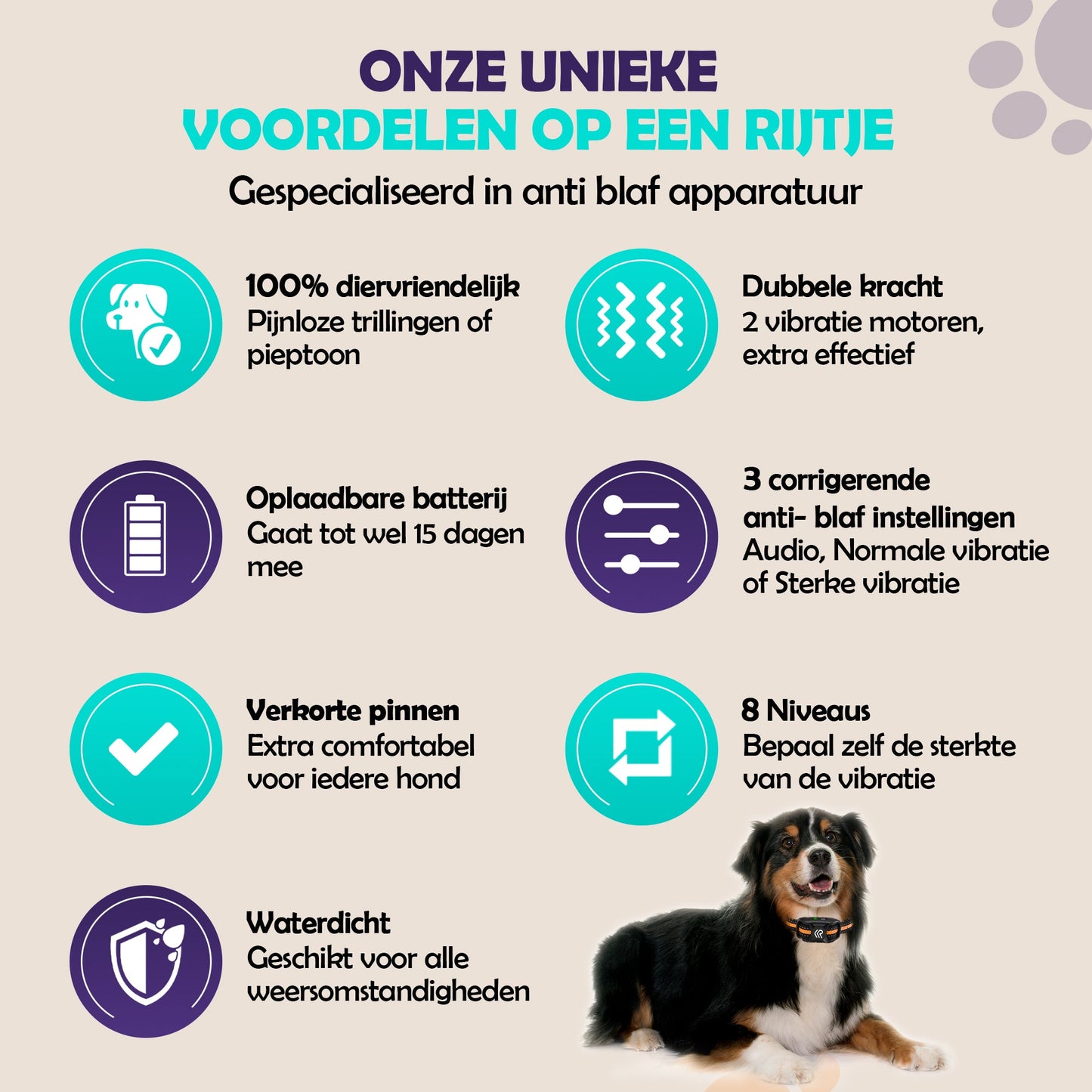 2e kans - Robustrise X2 Pro Anti Blafband - Hondentrainer - Robustrise.nl