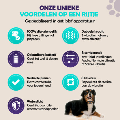 2e kans - Robustrise X2 Pro Anti Blafband - Hondentrainer - Robustrise.nl