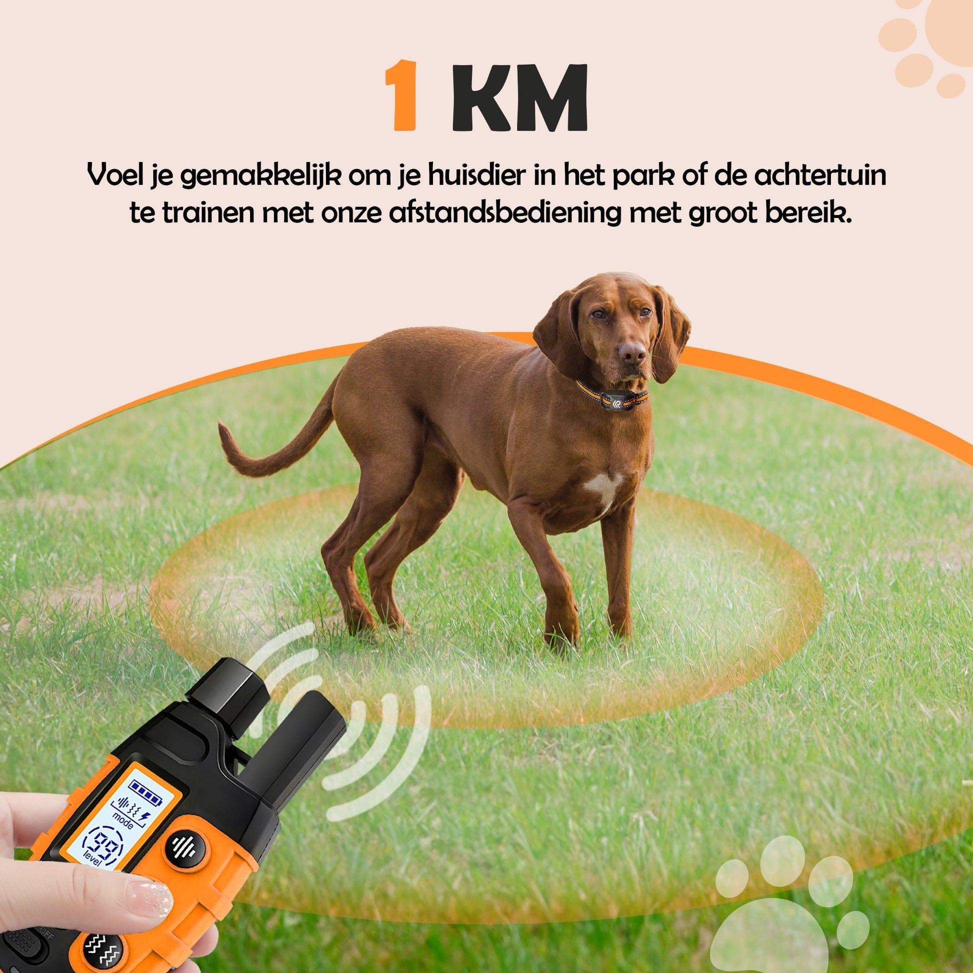 2e kans - Robustrise X2 Pro Anti Blafband - Hondentrainer - Robustrise.nl