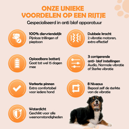 2e kans - Robustrise X2 Pro Anti Blafband - Hondentrainer - Robustrise.nl