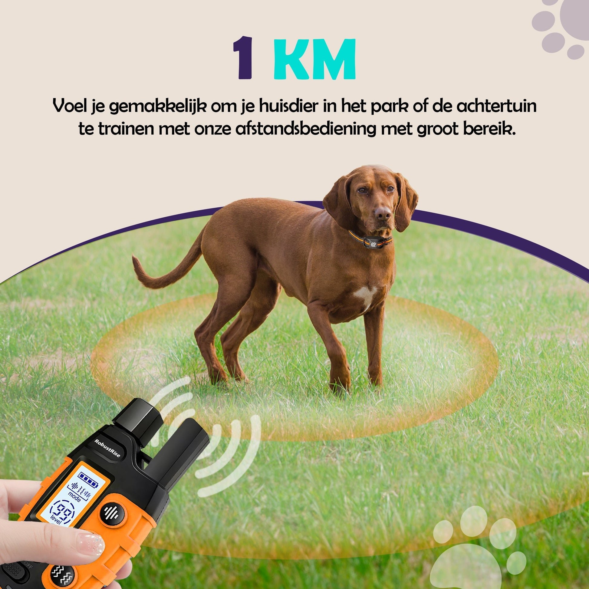 2e kans - Robustrise X2 Pro Anti Blafband - Hondentrainer - Robustrise.nl