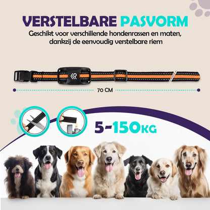 2e kans - Robustrise X2 Pro Anti Blafband - Hondentrainer - Robustrise.nl