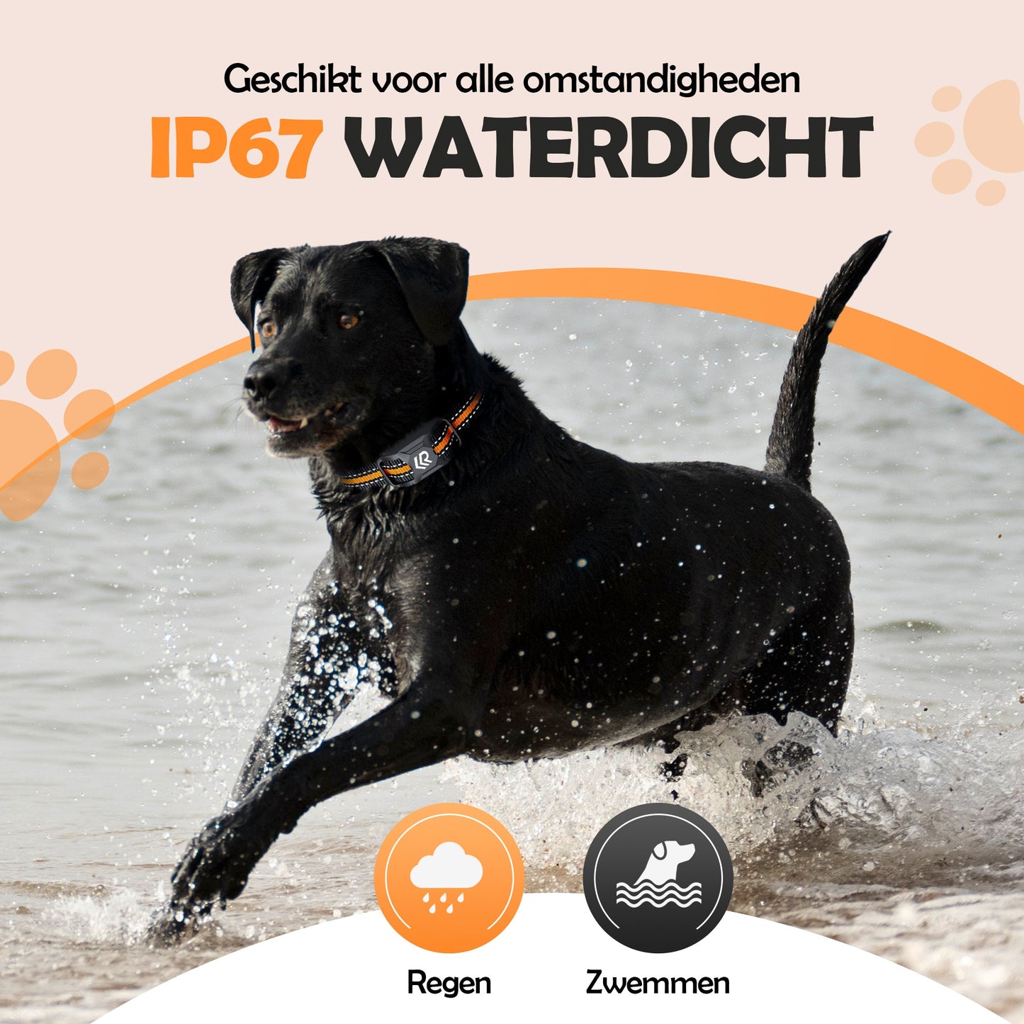 2e kans - Robustrise X2 Pro Anti Blafband - Hondentrainer - Robustrise.nl