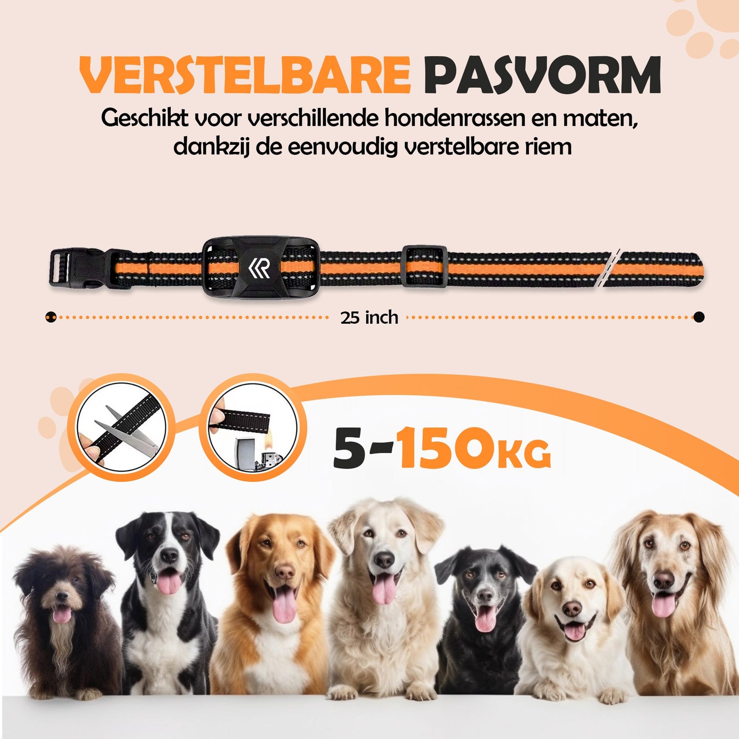 2e kans - Robustrise X2 Pro Anti Blafband - Hondentrainer - Robustrise.nl