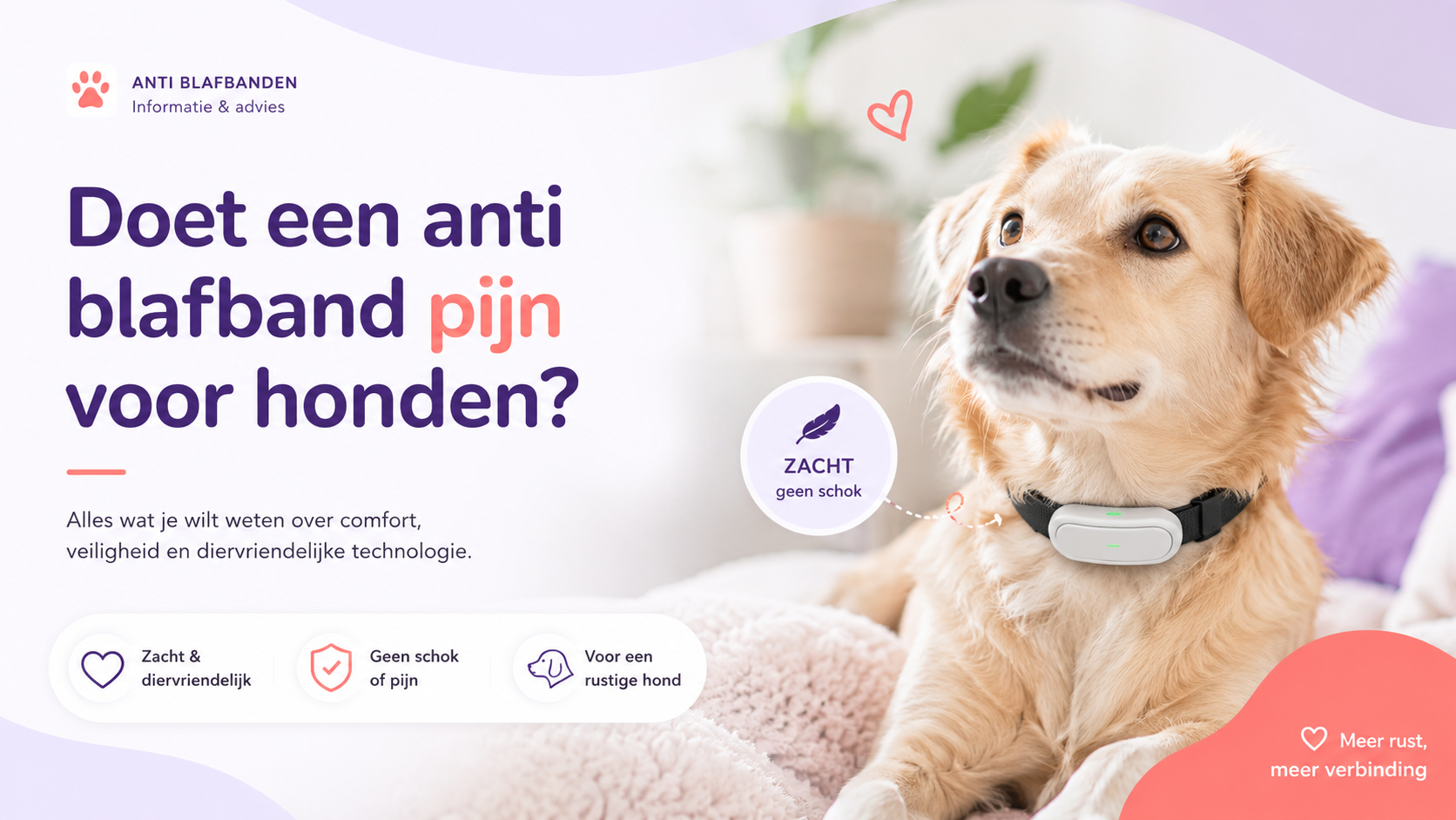 Doet een anti blafband pijn bij honden?