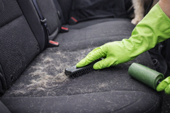 Hand in een rubberen handschoen borstelt losse hondenharen van een stoffen achterbank