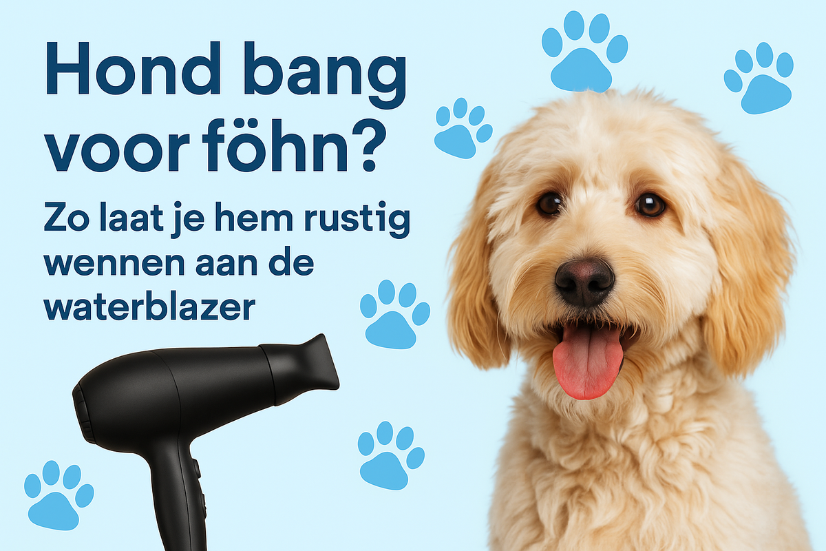 Hond kijkt angstig weg van een föhn