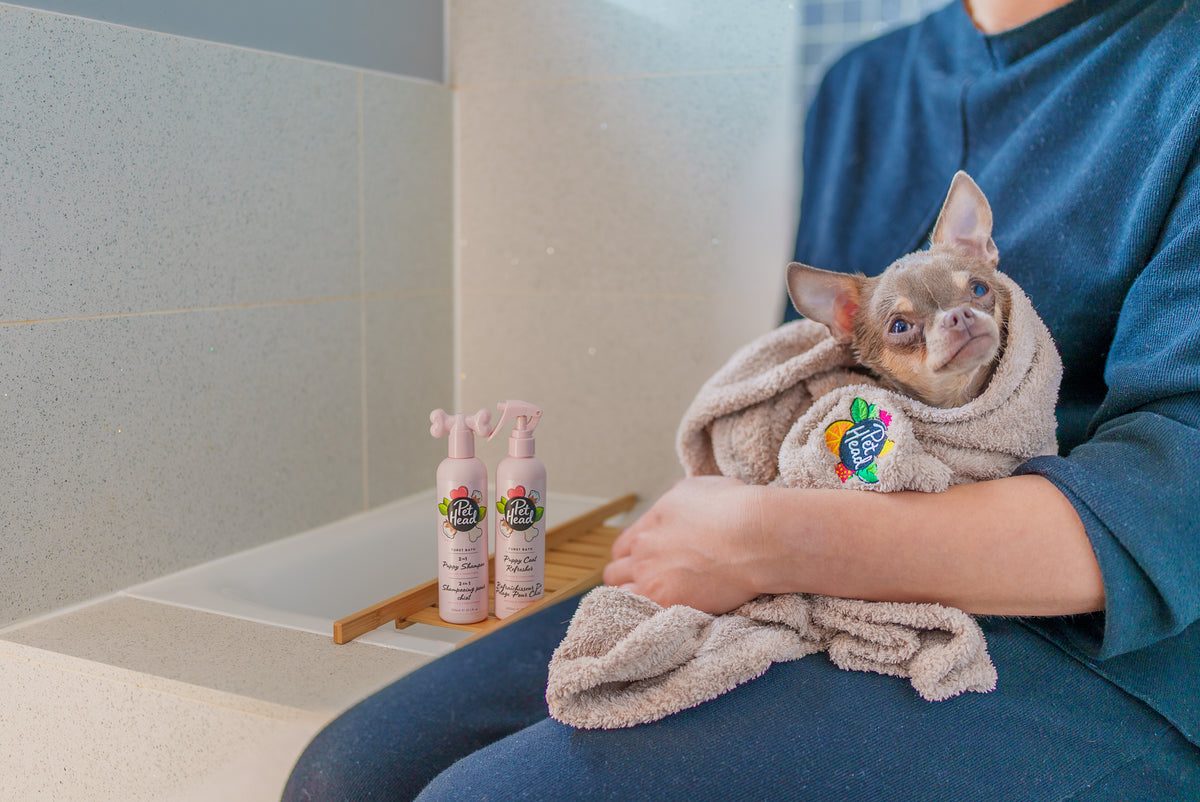 Chihuahuapup zit na het badje in een handdoek op schoot, met Pet Head Furst Bath shampoo en vachtverfrisser op de badrand