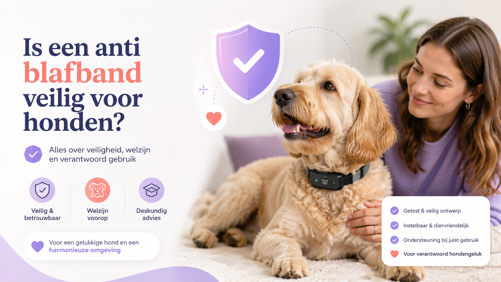 Is een anti blafband veilig voor honden?