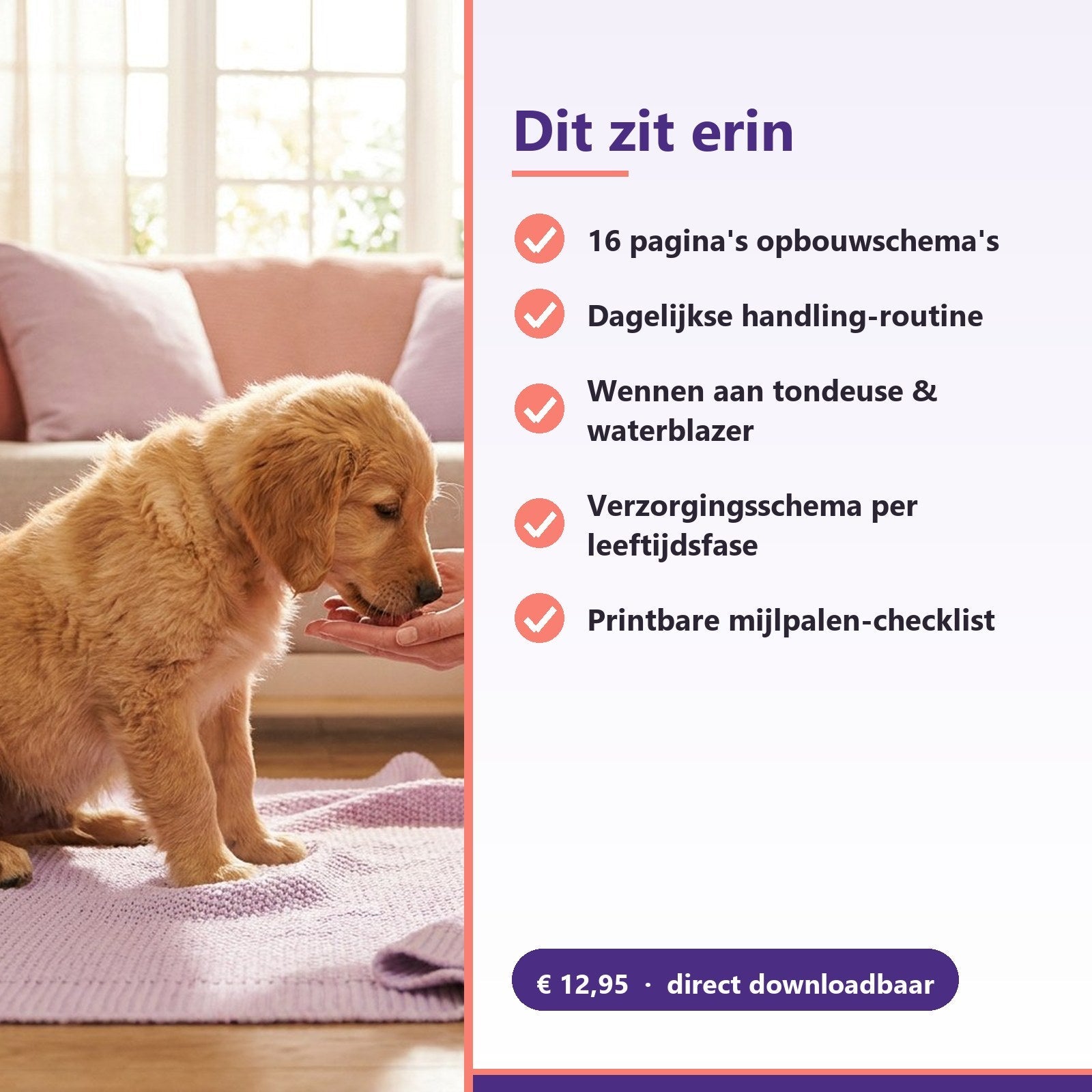 E-book: De complete puppy verzorgingsgids (PDF) - Robustrise.nl