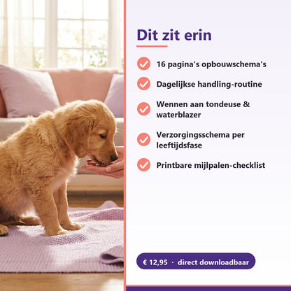 E-book: De complete puppy verzorgingsgids (PDF) - Robustrise.nl