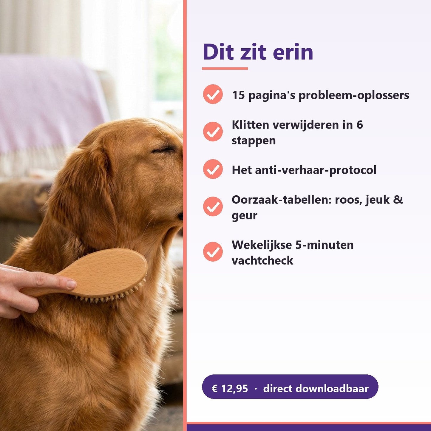 E-book: EHBO voor de hondenvacht — Klitten, roos & verharen (PDF) - Robustrise.nl